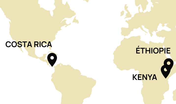 Origine Ethiopie, Costa Rica, Kenya